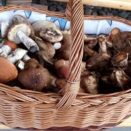 Dom wakacyjny Samson Vahanec