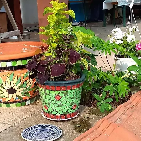 Samson Dom wakacyjny Vahanec