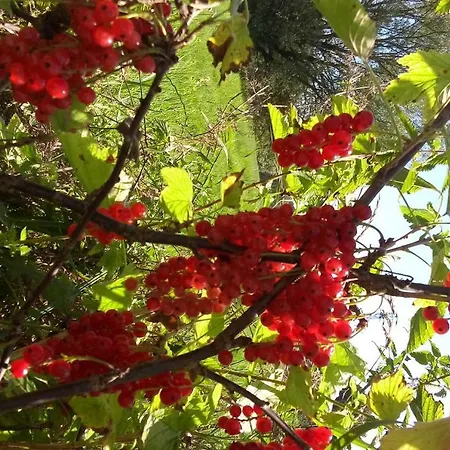 Samson Dom wakacyjny Vahanec