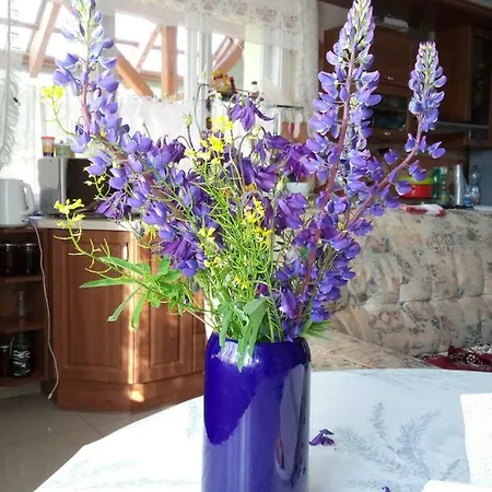 Dom wakacyjny Samson Vahanec