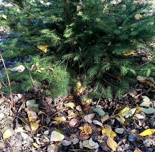 Samson 度假居 Vahanec