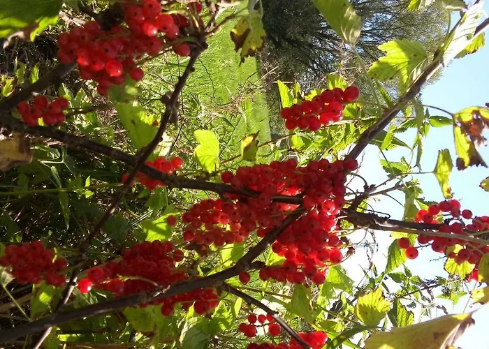 Samson 度假居 Vahanec